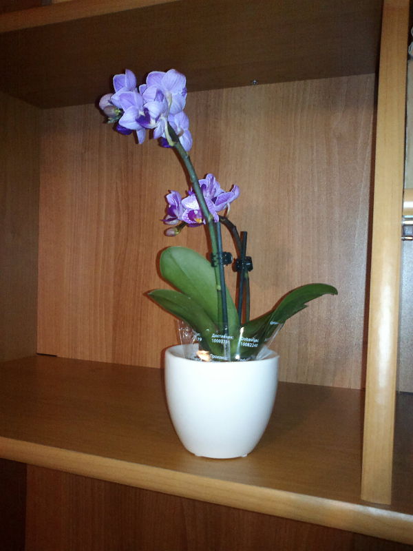 2012-11-22-694_opt.jpg