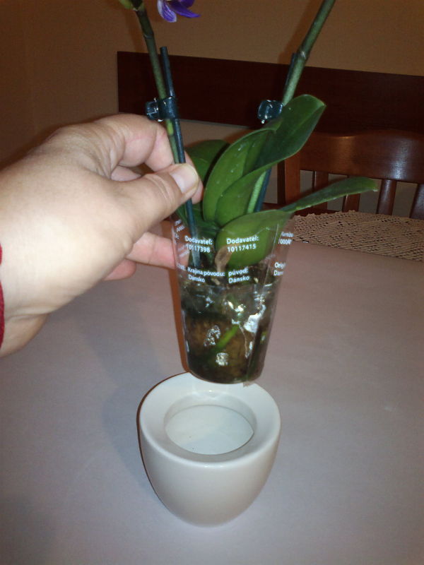2012-11-22-700_opt.jpg