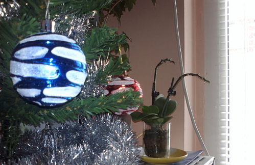 2012-12-24-763_opt_opt.jpg