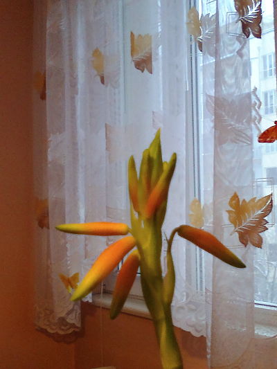 2013-01-19-952_opt.jpg