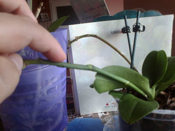 2013-02-11-1001_opt.jpg