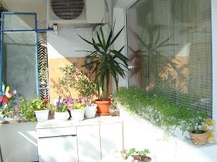 DSC03024.JPG