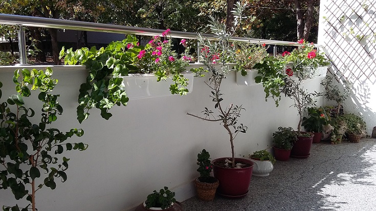 20161002_135219.jpg
