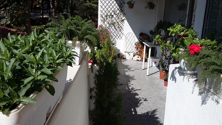 20161002_135450.jpg