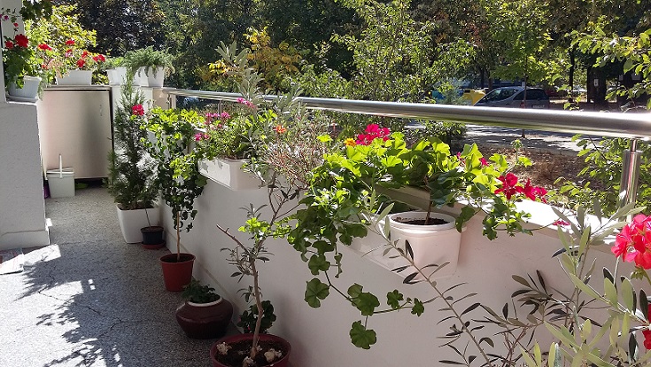 20161002_135154.jpg